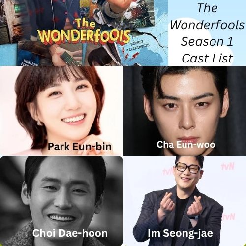 The Wonderfools Season 1 Cast & Characters Details