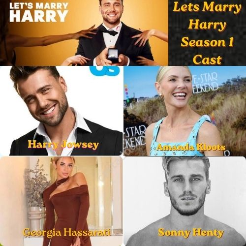 Lets Marry Harry Season 1 Cast - Story & Release date